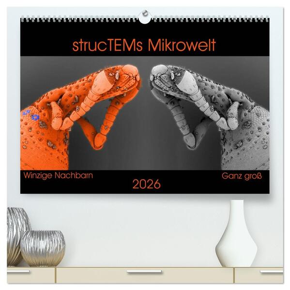 strucTEMs Mikrowelt - Winzige Nachbarn ganz groß (hochwertiger Premium Wandkalender 2026 DIN A2 quer) Kunstdruck in Hochglanz