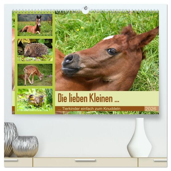 Die lieben Kleinen ... Tierkinder einfach zum Knuddeln (hochwertiger Premium Wandkalender 2026 DIN A2 quer) Kunstdruck in Hochglanz