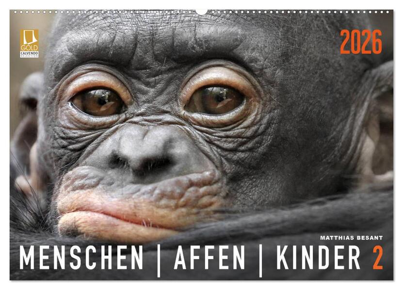 MENSCHENAFFENKINDER 2 (Wandkalender 2026 DIN A2 quer) CALVENDO Monatskalender