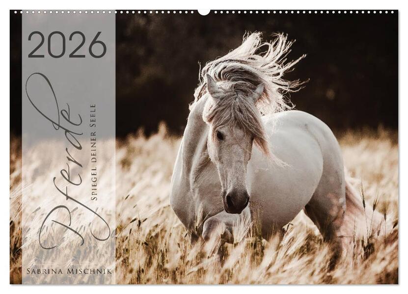 Spiegel deiner Seele (Wandkalender 2026 DIN A2 quer) CALVENDO Monatskalender