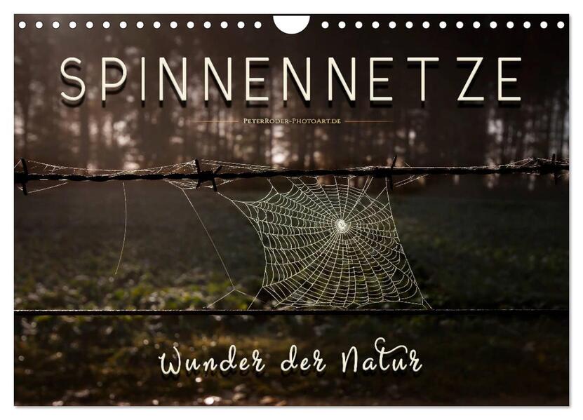 Spinnennetze - Wunder der Natur (Wandkalender 2026 DIN A4 quer) CALVENDO Monatskalender