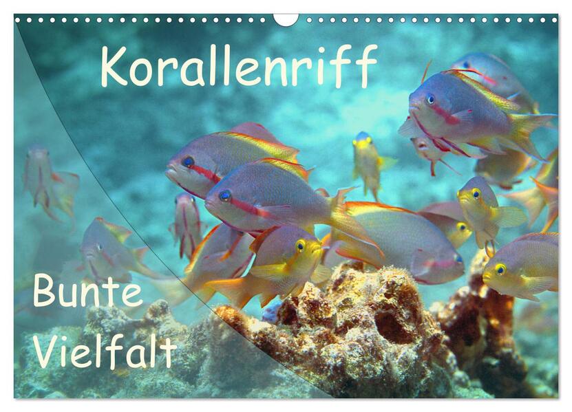 Bunte Vielfalt im Korallenriff (Wandkalender 2026 DIN A3 quer) CALVENDO Monatskalender