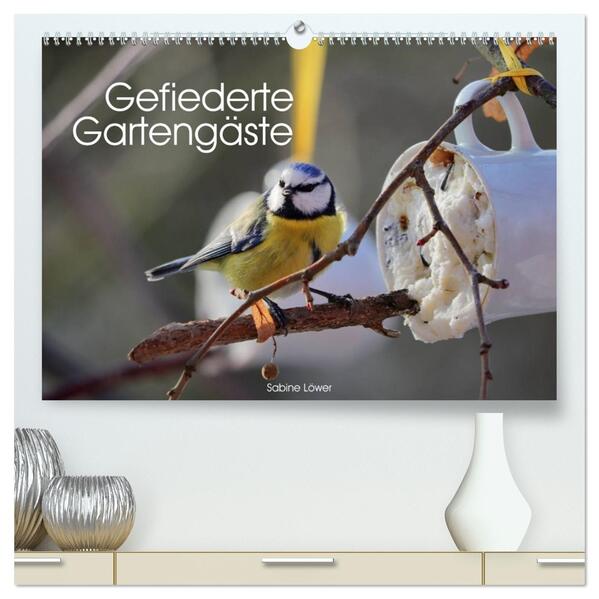 Gefiederte Gartengäste (hochwertiger Premium Wandkalender 2026 DIN A2 quer) Kunstdruck in Hochglanz