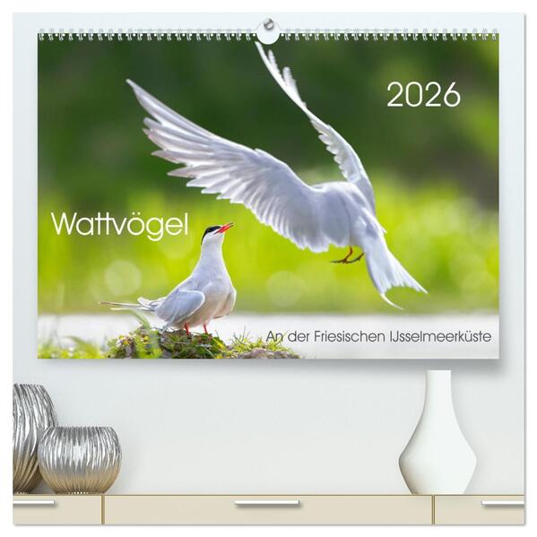 Wattvögel an der Friesischen IJsselmeerküste (hochwertiger Premium Wandkalender 2026 DIN A2 quer) Kunstdruck in Hochglanz