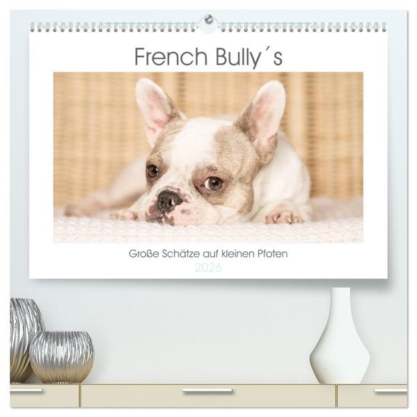 French Bullys - Große Schätze auf kleinen Pfoten (hochwertiger Premium Wandkalender 2026 DIN A2 quer) Kunstdruck in Hochglanz
