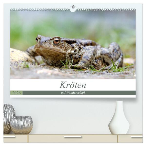 Kröten auf Wanderschaft (hochwertiger Premium Wandkalender 2026 DIN A2 quer) Kunstdruck in Hochglanz
