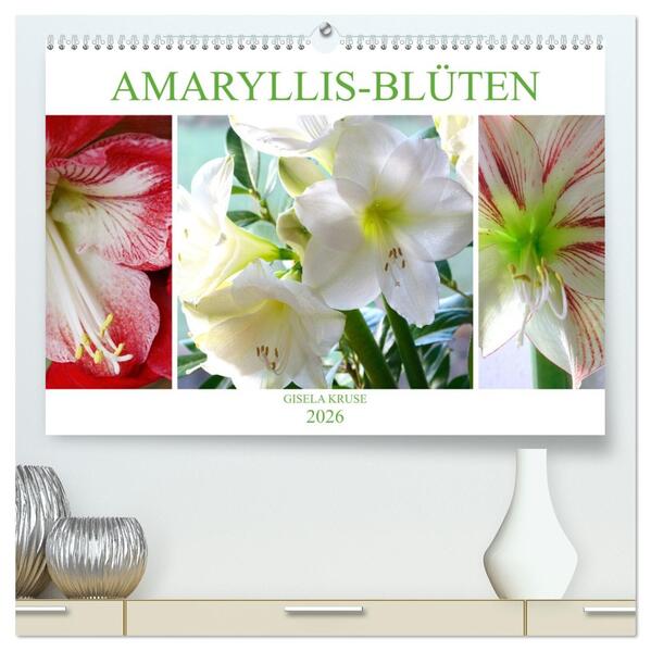Amaryllis-Blüten (hochwertiger Premium Wandkalender 2026 DIN A2 quer) Kunstdruck in Hochglanz