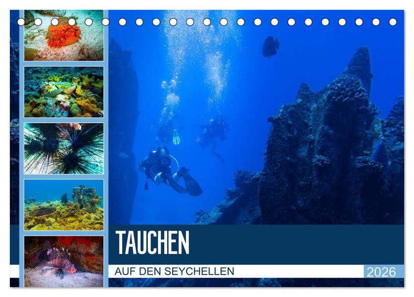 Tauchen auf den Sychellen (Tischkalender 2026 DIN A5 quer) CALVENDO Monatskalender