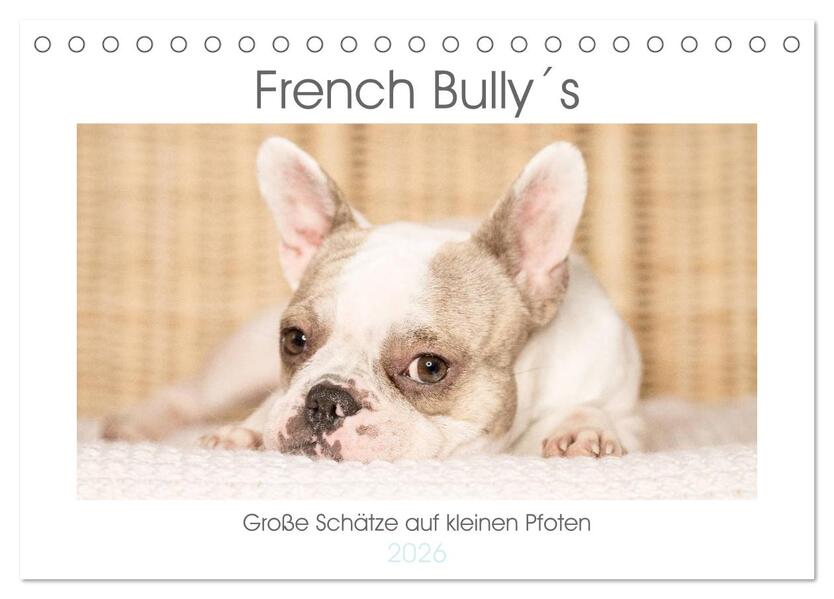 French Bullys - Große Schätze auf kleinen Pfoten (Tischkalender 2026 DIN A5 quer) CALVENDO Monatskalender