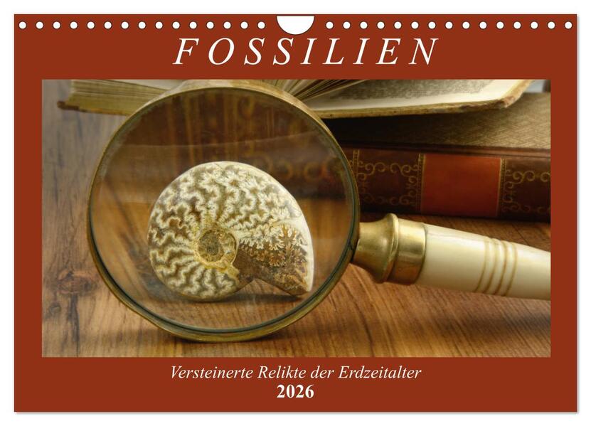 Fossilien - Versteinerte Relikte der Erdzeitalter (Wandkalender 2026 DIN A4 quer) CALVENDO Monatskalender