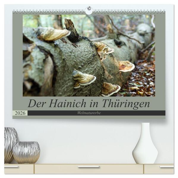 Der Hainich in Thüringen - Weltnaturerbe (hochwertiger Premium Wandkalender 2026 DIN A2 quer) Kunstdruck in Hochglanz