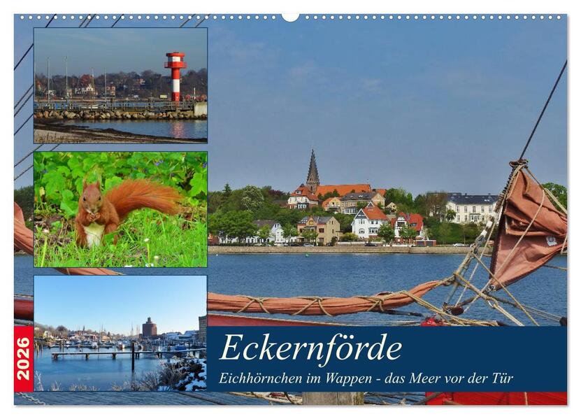 Eckernförde. Eichhörnchen im Wappen - das Meer vor der Tür (Wandkalender 2026 DIN A2 quer) CALVENDO Monatskalender