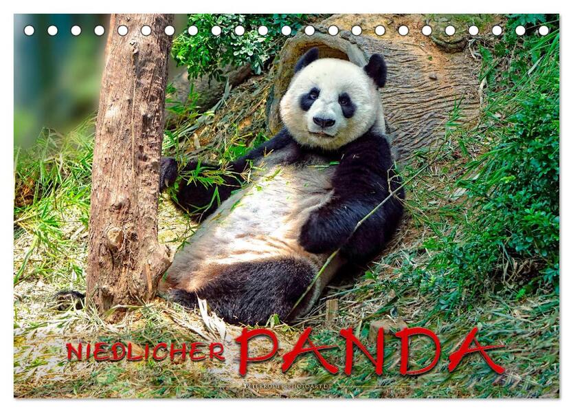 Niedlicher Panda (Tischkalender 2026 DIN A5 quer) CALVENDO Monatskalender