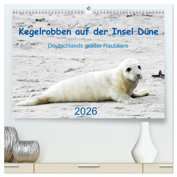 Kegelrobben auf der Insel Düne (hochwertiger Premium Wandkalender 2026 DIN A2 quer) Kunstdruck in Hochglanz