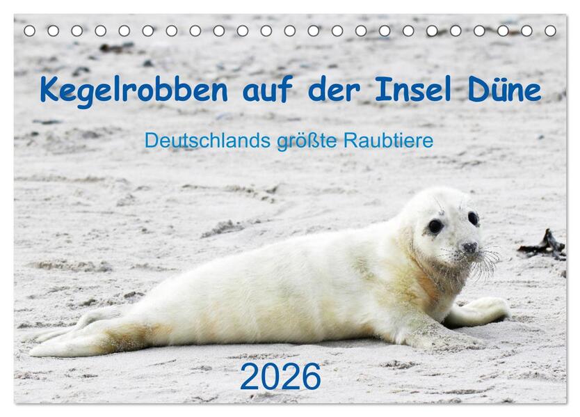 Kegelrobben auf der Insel Düne (Tischkalender 2026 DIN A5 quer) CALVENDO Monatskalender