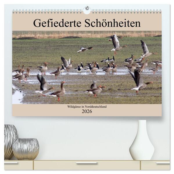 Gefiederte Schönheiten - Wildgänse in Norddeutschland (hochwertiger Premium Wandkalender 2026 DIN A2 quer) Kunstdruck in Hochglanz