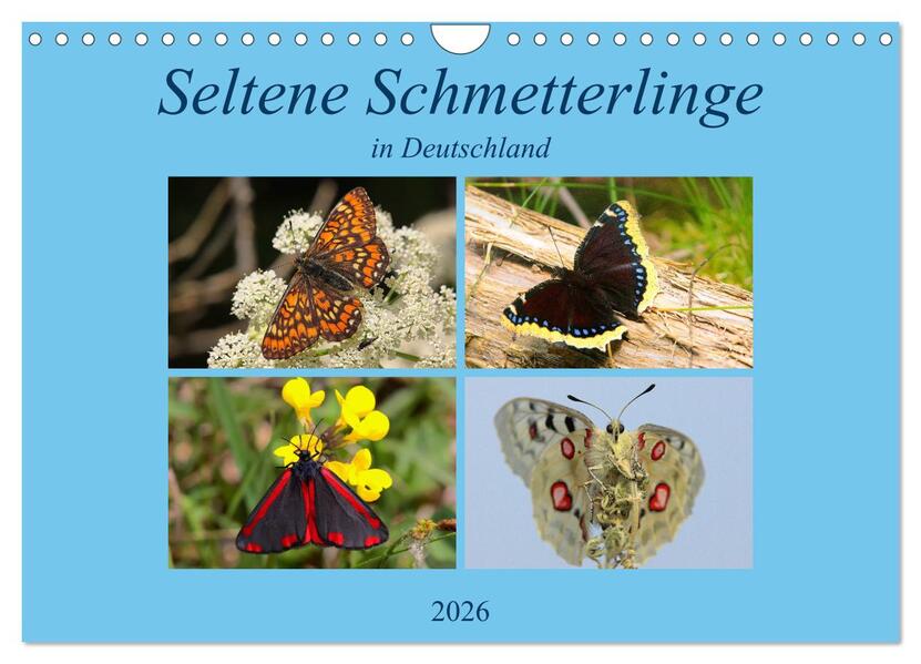 Seltene Schmetterlinge in Deutschland (Wandkalender 2026 DIN A4 quer) CALVENDO Monatskalender