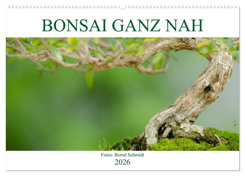 Bonsai ganz nah (Wandkalender 2026 DIN A2 quer) CALVENDO Monatskalender