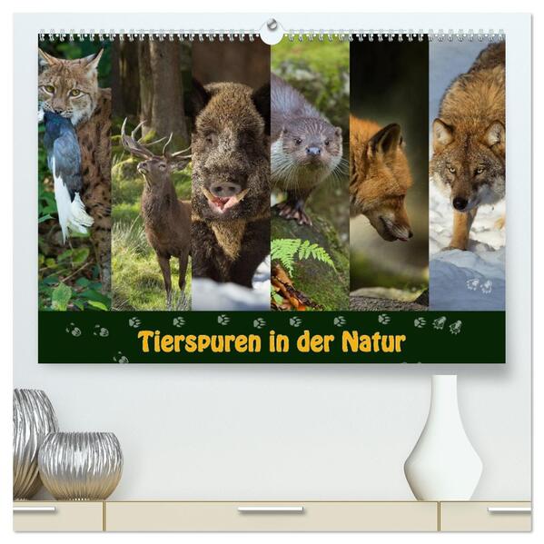 Tierspuren in der Natur (hochwertiger Premium Wandkalender 2026 DIN A2 quer) Kunstdruck in Hochglanz