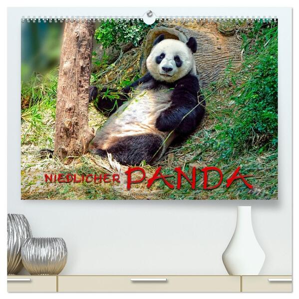 Niedlicher Panda (hochwertiger Premium Wandkalender 2026 DIN A2 quer) Kunstdruck in Hochglanz
