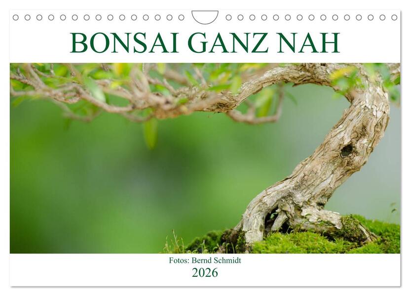 Bonsai ganz nah (Wandkalender 2026 DIN A4 quer) CALVENDO Monatskalender