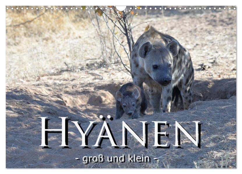 Hyänen - groß und klein (Wandkalender 2026 DIN A3 quer) CALVENDO Monatskalender