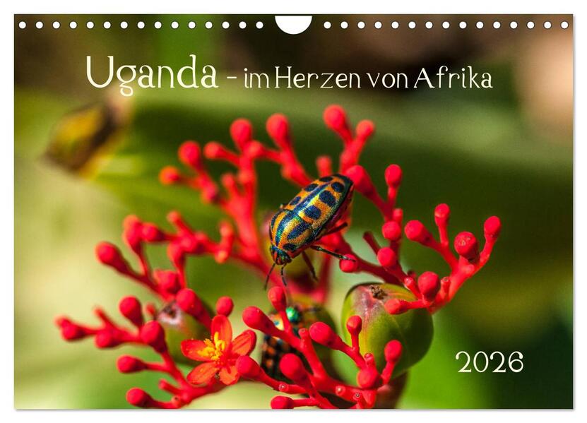 Uganda - im Herzen von Afrika (Wandkalender 2026 DIN A4 quer) CALVENDO Monatskalender