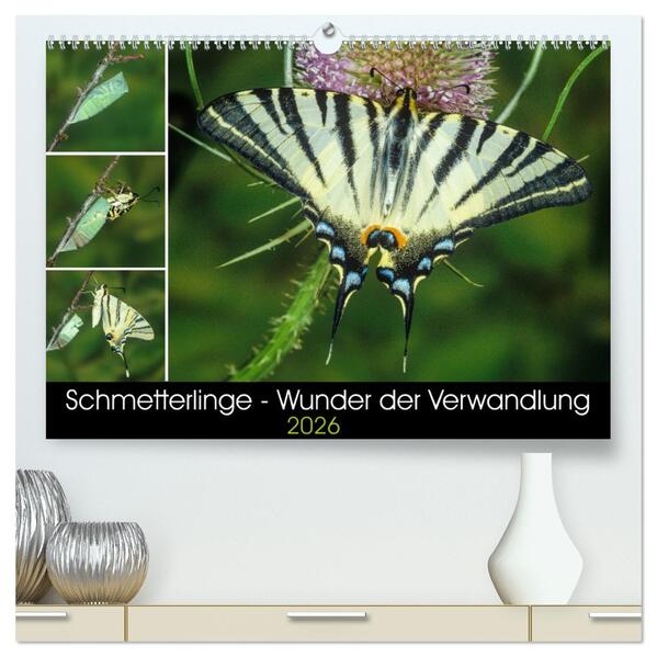 Schmetterlinge - Wunder der Verwandlung (hochwertiger Premium Wandkalender 2026 DIN A2 quer) Kunstdruck in Hochglanz