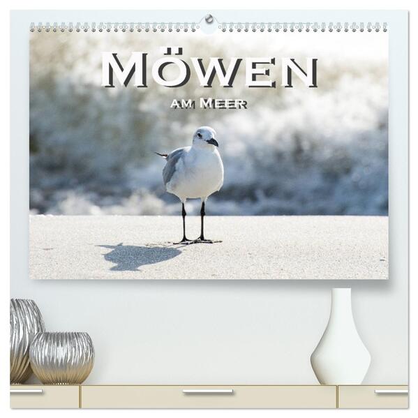 Möwen am Meer (hochwertiger Premium Wandkalender 2026 DIN A2 quer) Kunstdruck in Hochglanz
