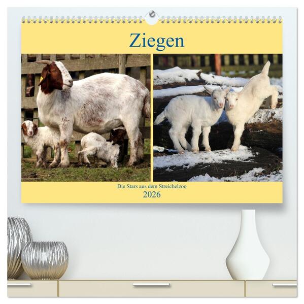 Ziegen - Die Stars aus dem Streichelzoo (hochwertiger Premium Wandkalender 2026 DIN A2 quer) Kunstdruck in Hochglanz