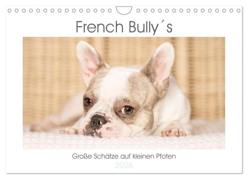 French Bullys - Große Schätze auf kleinen Pfoten (Wandkalender 2026 DIN A4 quer) CALVENDO Monatskalender