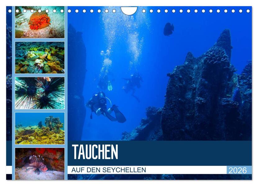 Tauchen auf den Sychellen (Wandkalender 2026 DIN A4 quer) CALVENDO Monatskalender