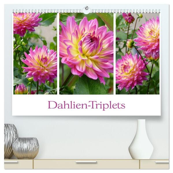 Dahlien-Triplets (hochwertiger Premium Wandkalender 2026 DIN A2 quer) Kunstdruck in Hochglanz
