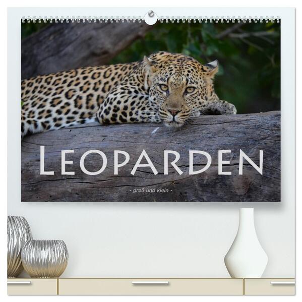 Leoparden - groß und klein (hochwertiger Premium Wandkalender 2026 DIN A2 quer) Kunstdruck in Hochglanz