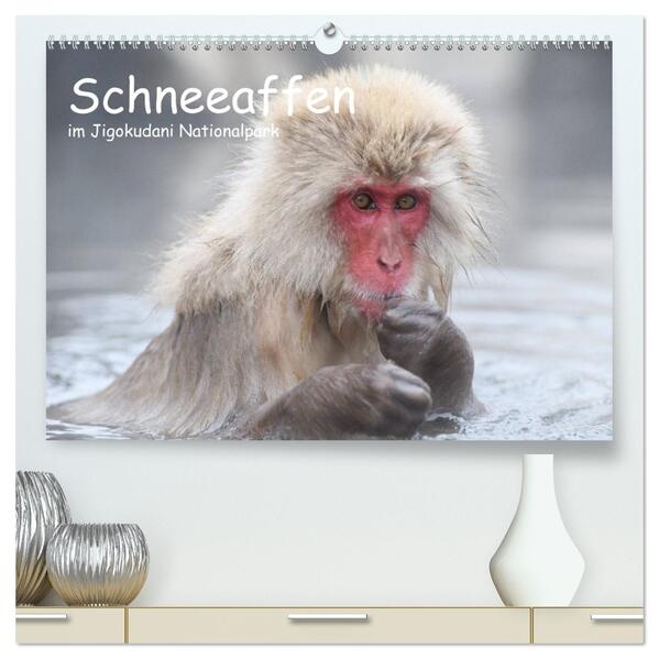 Schneeaffen im Jigokudani Nationalpark (hochwertiger Premium Wandkalender 2026 DIN A2 quer) Kunstdruck in Hochglanz
