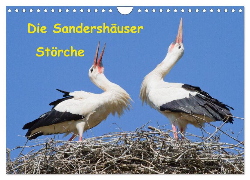 Die Sandershäuser Störche (Wandkalender 2026 DIN A4 quer) CALVENDO Monatskalender