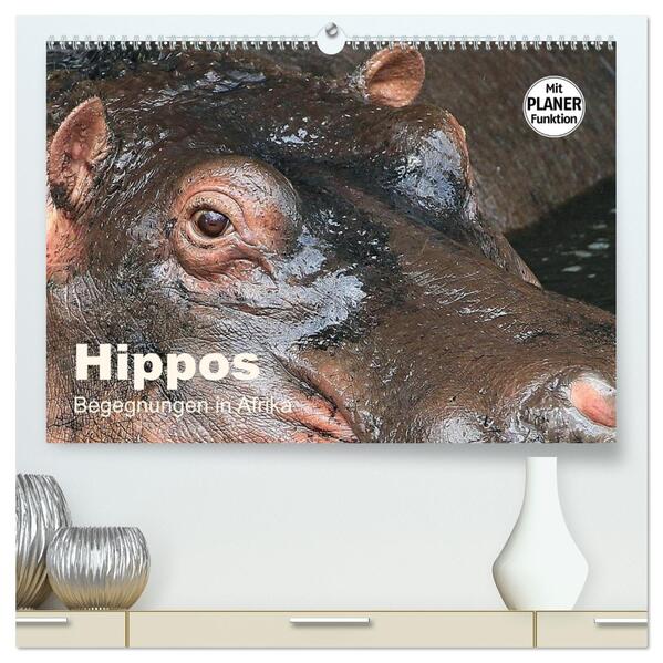 Hippos - Begegnungen in Afrika (hochwertiger Premium Wandkalender 2026 DIN A2 quer) Kunstdruck in Hochglanz
