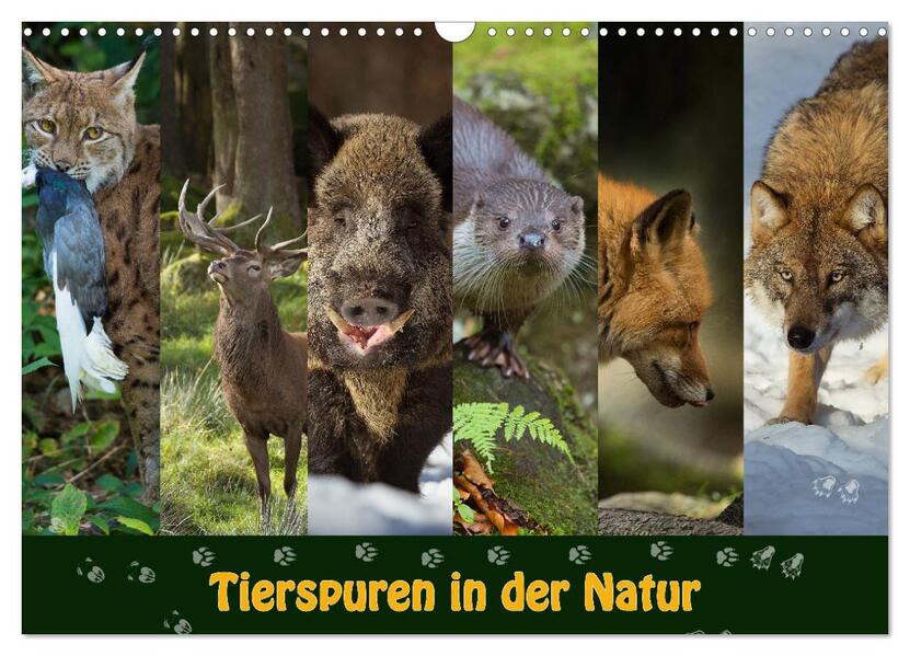 Tierspuren in der Natur (Wandkalender 2026 DIN A3 quer) CALVENDO Monatskalender