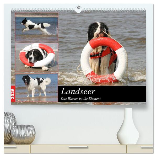 Landseer - Das Wasser ist ihr Element (hochwertiger Premium Wandkalender 2026 DIN A2 quer) Kunstdruck in Hochglanz