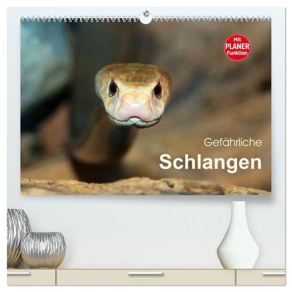Gefährliche Schlangen (hochwertiger Premium Wandkalender 2026 DIN A2 quer) Kunstdruck in Hochglanz