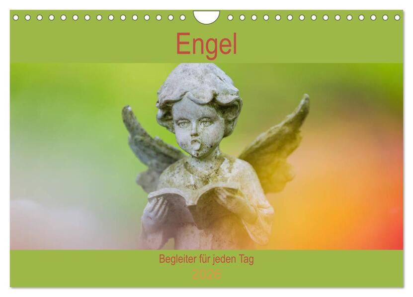 Engel - Begleiter für jeden Tag (Wandkalender 2026 DIN A4 quer) CALVENDO Monatskalender