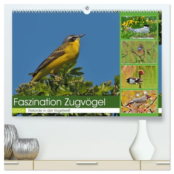 Faszination Zugvögel - Rekorde in der Vogelwelt (hochwertiger Premium Wandkalender 2026 DIN A2 quer) Kunstdruck in Hochglanz