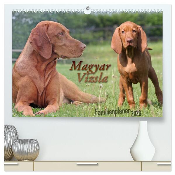 Familienplaner - Magyar Vizsla (hochwertiger Premium Wandkalender 2026 DIN A2 quer) Kunstdruck in Hochglanz