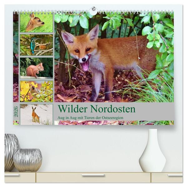 Wilder Nordosten - Aug in Aug mit Tieren der Ostseeregion (hochwertiger Premium Wandkalender 2026 DIN A2 quer) Kunstdruck in Hochglanz