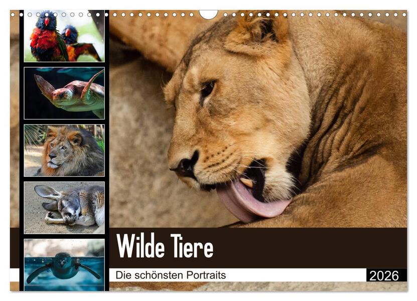 Wilde Tiere - Die schönsten Portraits (Wandkalender 2026 DIN A3 quer) CALVENDO Monatskalender