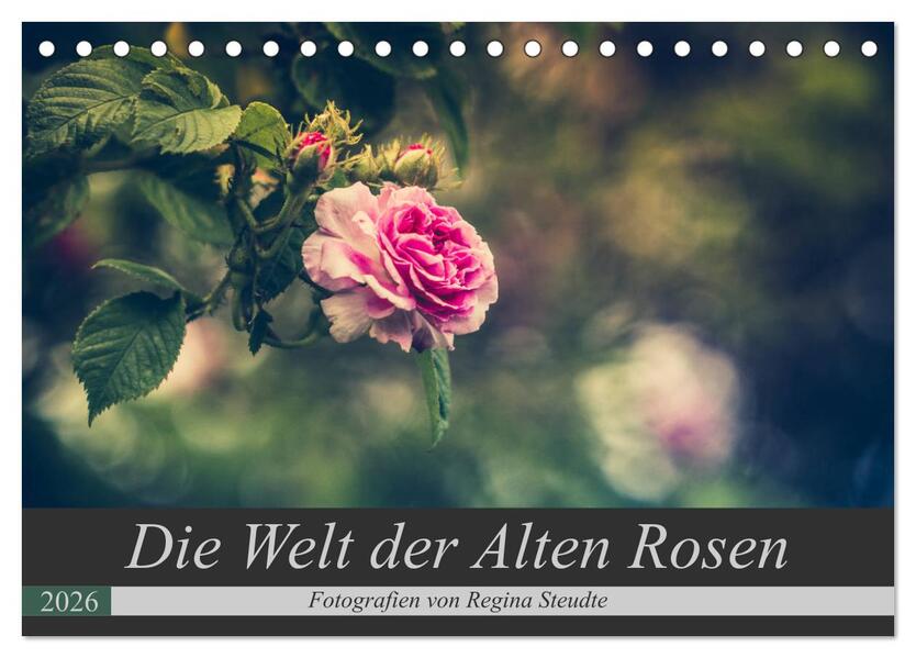 Die Welt der Alten Rosen (Tischkalender 2026 DIN A5 quer) CALVENDO Monatskalender