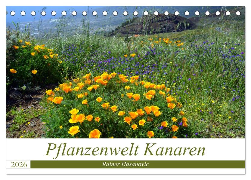Pflanzenwelt Kanaren (Tischkalender 2026 DIN A5 quer) CALVENDO Monatskalender