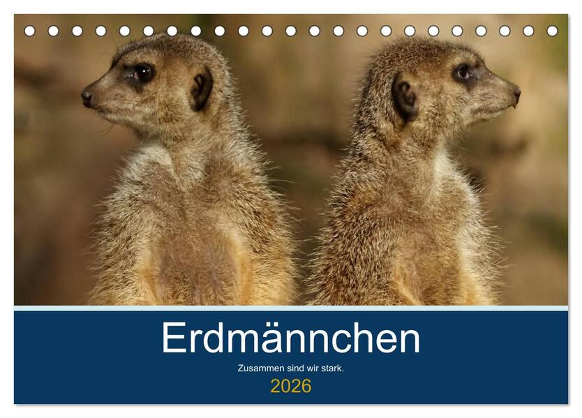 Erdmännchen - Zusammen sind wir stark (Tischkalender 2026 DIN A5 quer) CALVENDO Monatskalender