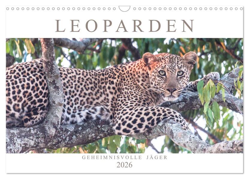 Leoparden - Geheimnisvolle Jäger (Wandkalender 2026 DIN A3 quer) CALVENDO Monatskalender