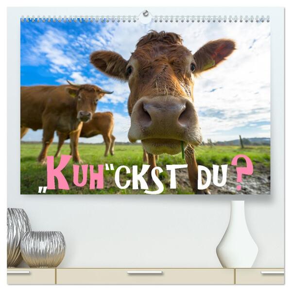Kuhckst du? (hochwertiger Premium Wandkalender 2026 DIN A2 quer) Kunstdruck in Hochglanz